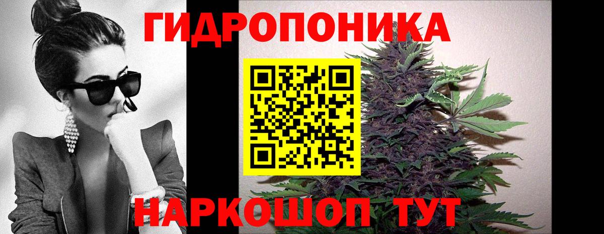 Конопля Ganja  Вход с VPN  Сургут  Шишки марихуана ГИДРОПОН  Каннабис White Widow 